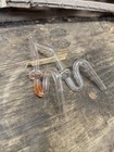 Hot Railer Glass Tobacco Water Pipe   Borosilicate Straw   Functional Art