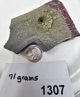 Top Shelf Corvette C8 Fordite Detroit Agate Rough - Lapidary Jewelry Paint Slag