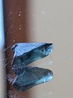 Usa Seller 1 90 Ct Flawless Blue Green Sapphire Facet Rough Specimen