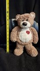 First   Main Tender Teddy 12 Inch Plush Brown Bear  1616 Toy Used