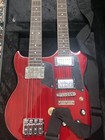 Double Neck Bass guitar 4 6 String Ebc Style Electric Guitar   Hard-shell Case