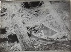 Antique Glass Plate Negative   Man  Woman And Girl In Canoe  Overhanging Trees