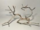 Manzanita Driftwood  Aquarium Wood  Reptile Tank Decor   Aquascape  Terrarium