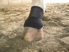 Scalping Boots-comfortably Protect Coronet Band  Ankle  No Rub  Easy On Off 