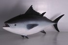 Hanging Tuna Fish Life Size Resin Statue Aquatic Display Ocean Marine Theme Prop
