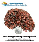 Premium Flowerhorn Cichlid Floating Pellet Fish Food - Color Enhancing - 3mm