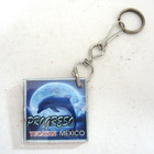 Progreso Souvenir Keychain Scuba Diving Yucatan Mexico The Ocean Is Calling New