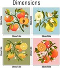 4 Pack Fruit Framed Diy Paint By Numbers Kit For Adults Beginner Art Set 8x8