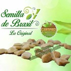 Semilla De Brasil  La Original
