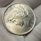 1923 P Peace Silver Dollar  1 Us Coin Choice Bu Uncirculated P23db3