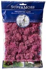 Preserved Reindeer Moss 2oz Bag   Forest  Dusty Rose  White Craft D  cor