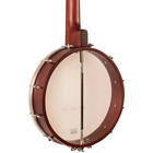 Recording King Rko-3s Open Back Banjo