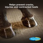 Farnam Rain Maker Triple Action Hoof Moisturizer And Conditioner For Horses