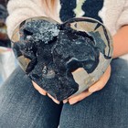 5 17lb Natural Dragon Septarian Geode Quartz Cluster Crystal Egg Healing 2350g