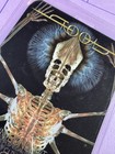 Tool 2024 Commemorative All Area Access  Backstage Pass And Lanyard