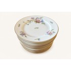 96-pc Rosenthal Continental Classic Rose 2554-61 China Set Service For 12
