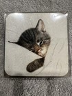 Vintage Chessie System Csx Kitten Coasters  4 Pk     New 