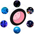 Round Fish Tank Desktop Jellyfish Aquarium Tank Kit For Real Live Jellyfish