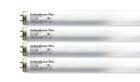 Tanning Bed Bulbs Wolff Goldenbronze F71  T-12 100 120w Plus
