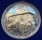 1967 Canada Coin Set W  Box     Stunning Toning    Confed Medal   25th Ed 9999