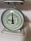 Vintage Hanson Nursery Scale Model 3025 20    Long Great Display Piece