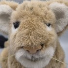 Vintage 1988 Applause Lion Cub Plush Realistic Spotted Big Cat Stuffed Animal