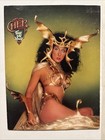 Cher Take Me Home 1979 Promo Display Folder Poster Disco Bob Mackie Art Concept