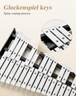 Advanced 32 Note Glockenspiel Xylophone Bell Kit Beginner Students  Percussion K