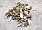 Natural Mule Ear Abalone Shells  approx  Half Pound 90  Shells 1-2  Inches 