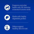 Pedigree Choice Cuts In Gravy Adult Canned Soft Wet Dog Food With Beef  13 2 Oz 