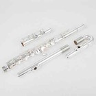 New 301 Alto Flute G Tune 16 Closed Hole Keys Sliver Plated Professional Flute -