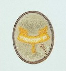 Bsa Second Class Scout Rank Patch Tan Modern Current Issue Mint Condition Clear