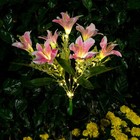 Solar Power Lily Flower Garden Stake Lamp Yard Outdoor Decor Led Lights