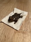James Avery Horned Toad Paperweight In Bronze