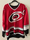 Starter Stitched Carolina Hurricanes Kevin Dineen Hockey Jersey Adult Size Large