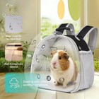 Space Capsule Pet Backpack - Breathable Clear Travel Container