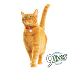 24x Cans 9lives Hearty Cuts Real Beef   Chicken In Gravy Cat Food 5 5oz