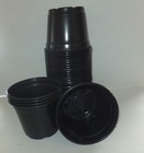 6 Inch Round Black Plastic Pots - Set Of 50 - Landmark Pot Nursery