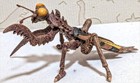 2024 Deagostini 4  Kamacuras Complete Figure Godzilla Toho Monsters Kaiju Toy