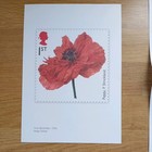 Royal Mail Limited Edition Print Poppy 2014 By Fiona Strickland With Letter 