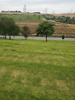 Rose Hills Cemetery Plot - Prime Location In Sold Out Autumn Terrace  8500