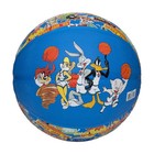 Spalding Space Jam Rubber 29 5 Basketball