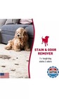 Nature   s Miracle Stain And Odor Remover Foam For Dogs 17 5 Oz  pack Of 2  