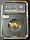 Gold Nugget 3 00 Gram Unvaulted By Vaultbox Ngc Certified Rare  1859 