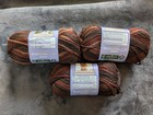 Bernat Softee Chunky Ombres Lot Of 3 Skeins - Terra Cotta Mist
