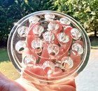 Large 16 Hole Clear Glass Flower Frog Anchor Hocking Polished Glass 5  Round