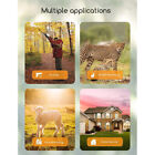 2pack Mini Trail Camera 12mp 1080p Wildlife Scouting Hunting Cam Night Vision Us