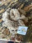 Build A Bear Jumping Spider - Mini Beans Nwt 2026 Halloween
