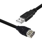 Firewire Ieee 1394 6 Pin Female To Usb Male Adapter Cable Digital Camera Printer