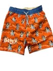 Bluey 2 Piece Swim Trunk Set Long Sleeve Rash Guard Boy   s Size 3t 4t Upf 50  Nwt